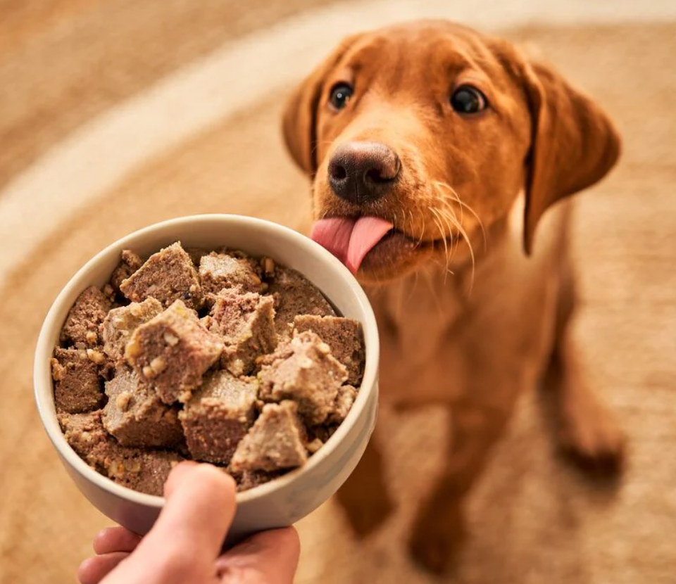 Comida Húmeda para Perros