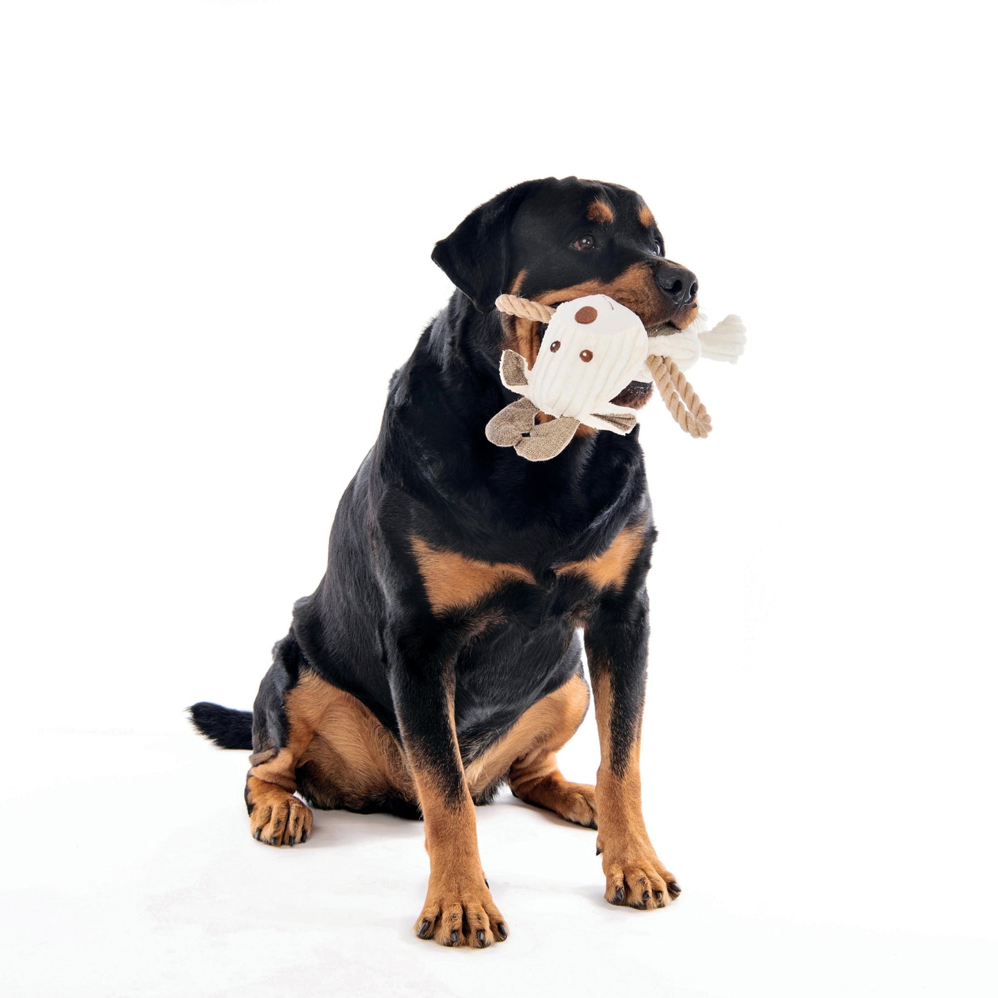 M-PETS - Eco Dog Toy Rune