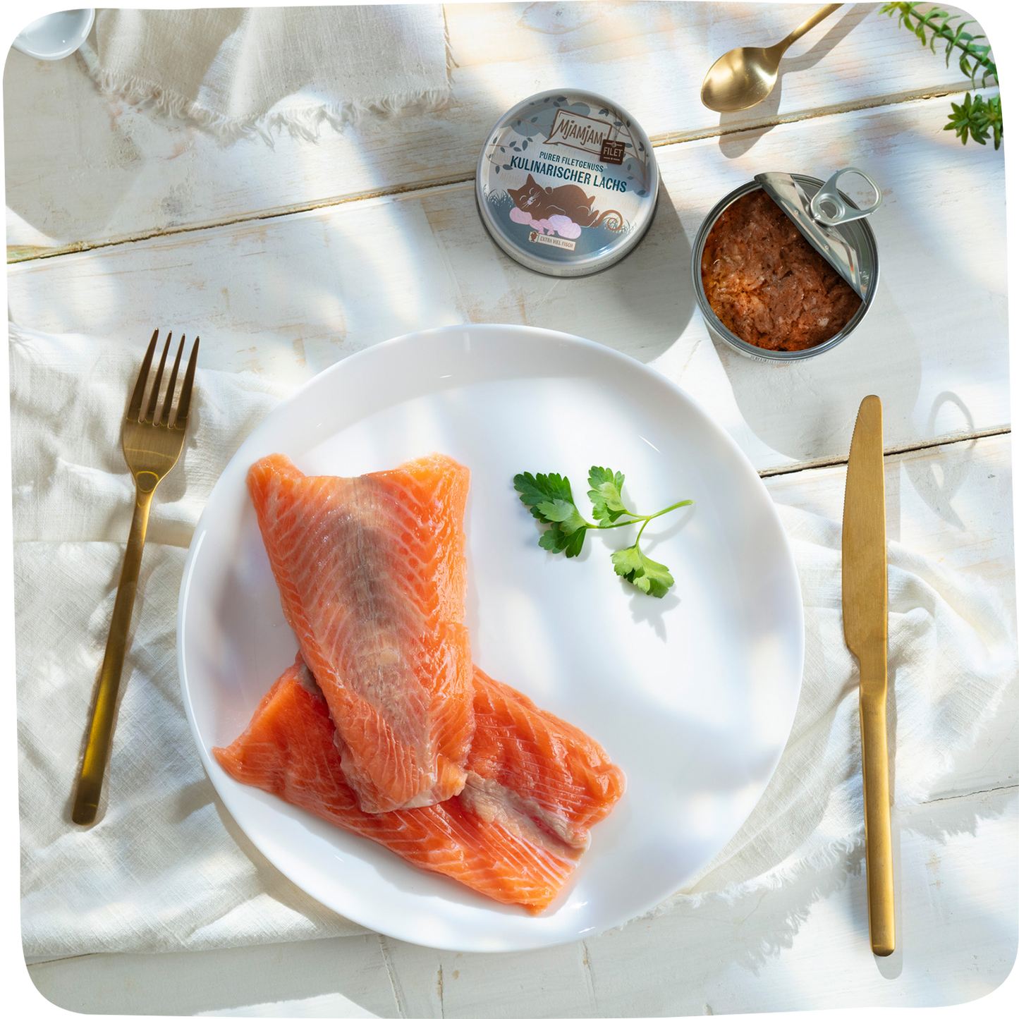 MjAMjAM - Salmón Gourmet: El puro placer de un filete