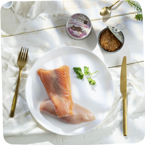 MjAMjAM - Saumon et Poulet Tendres : Le pur plaisir d'un filet de 80g