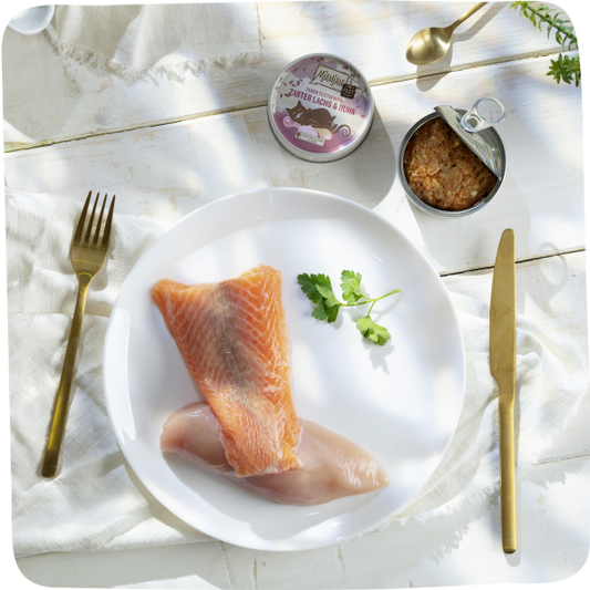 MjAMjAM - Salmón tierno y Pollo: El puro placer de un filete 80g