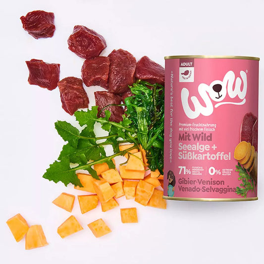 Chien WOW - Cerf