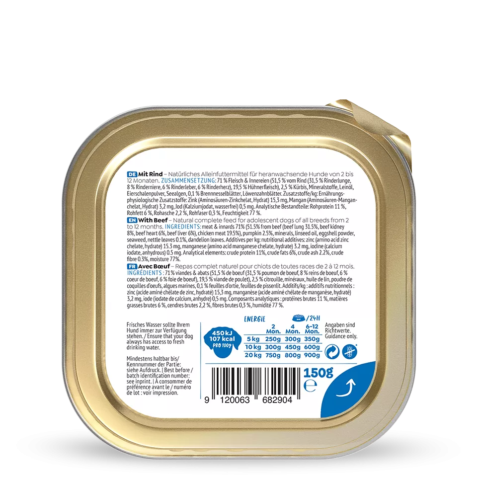 Chien WOW - Bœuf (Junior)