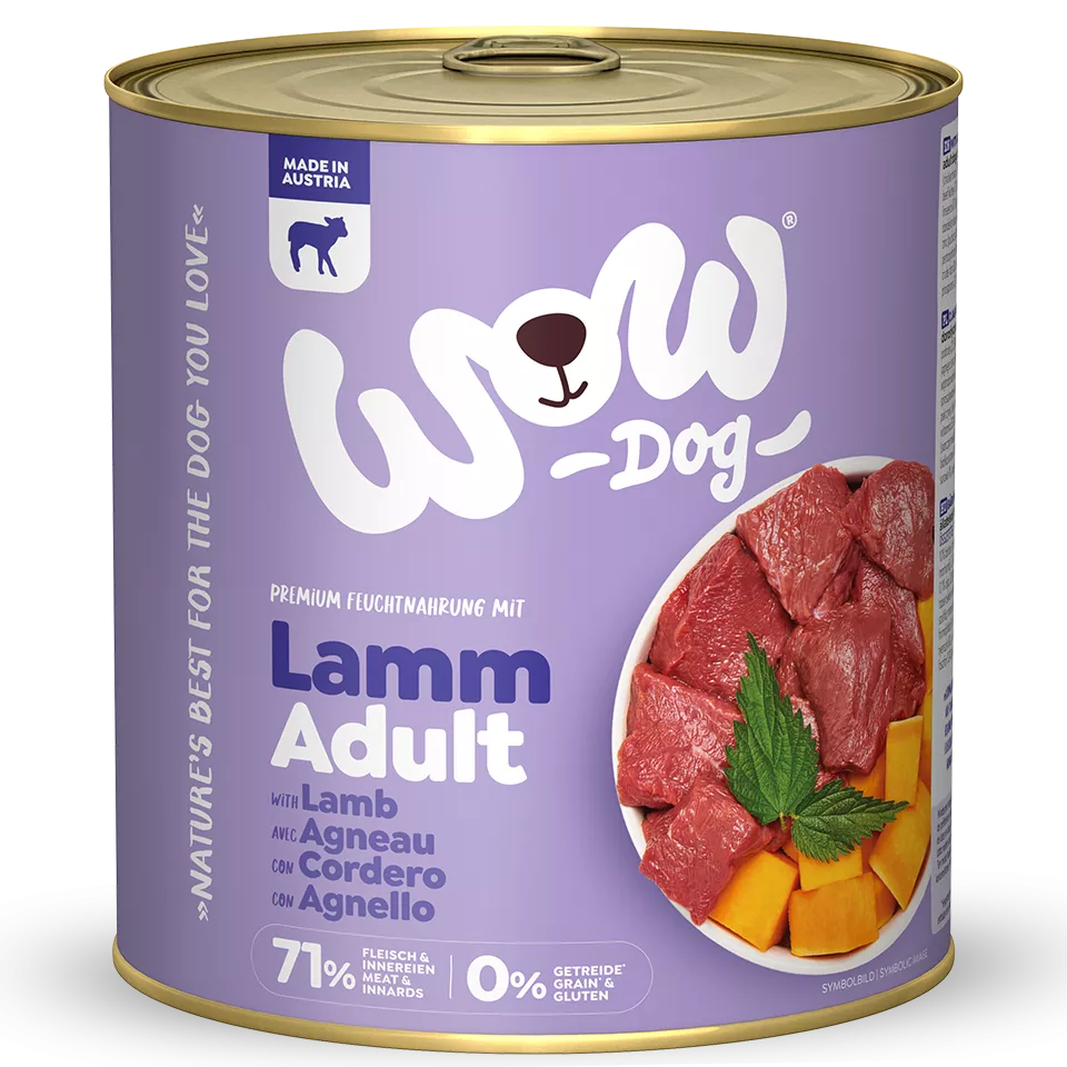 Chien WOW - Agneau
