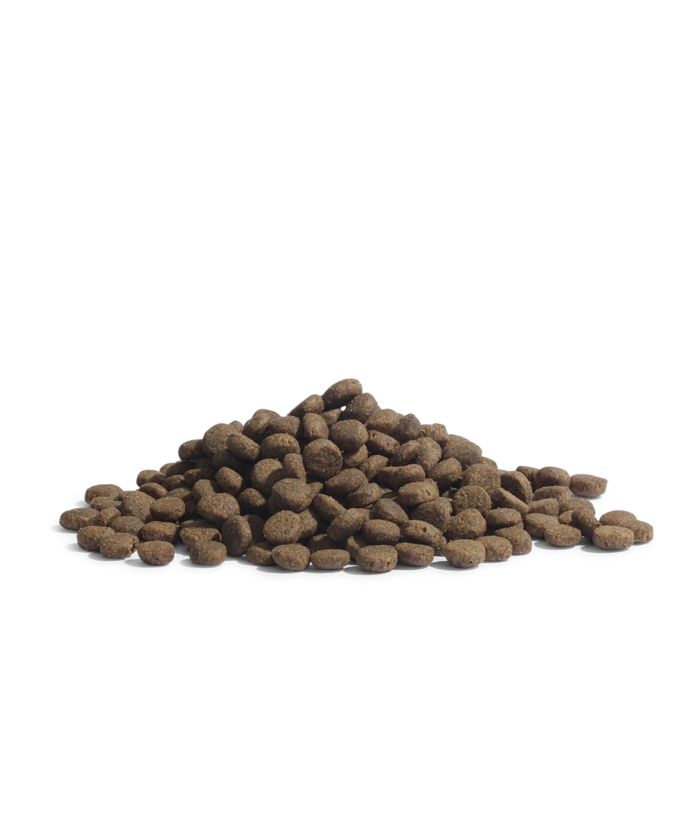 Essential Foods The Panther – Pienso de Pescado para Gatos Esterilizados