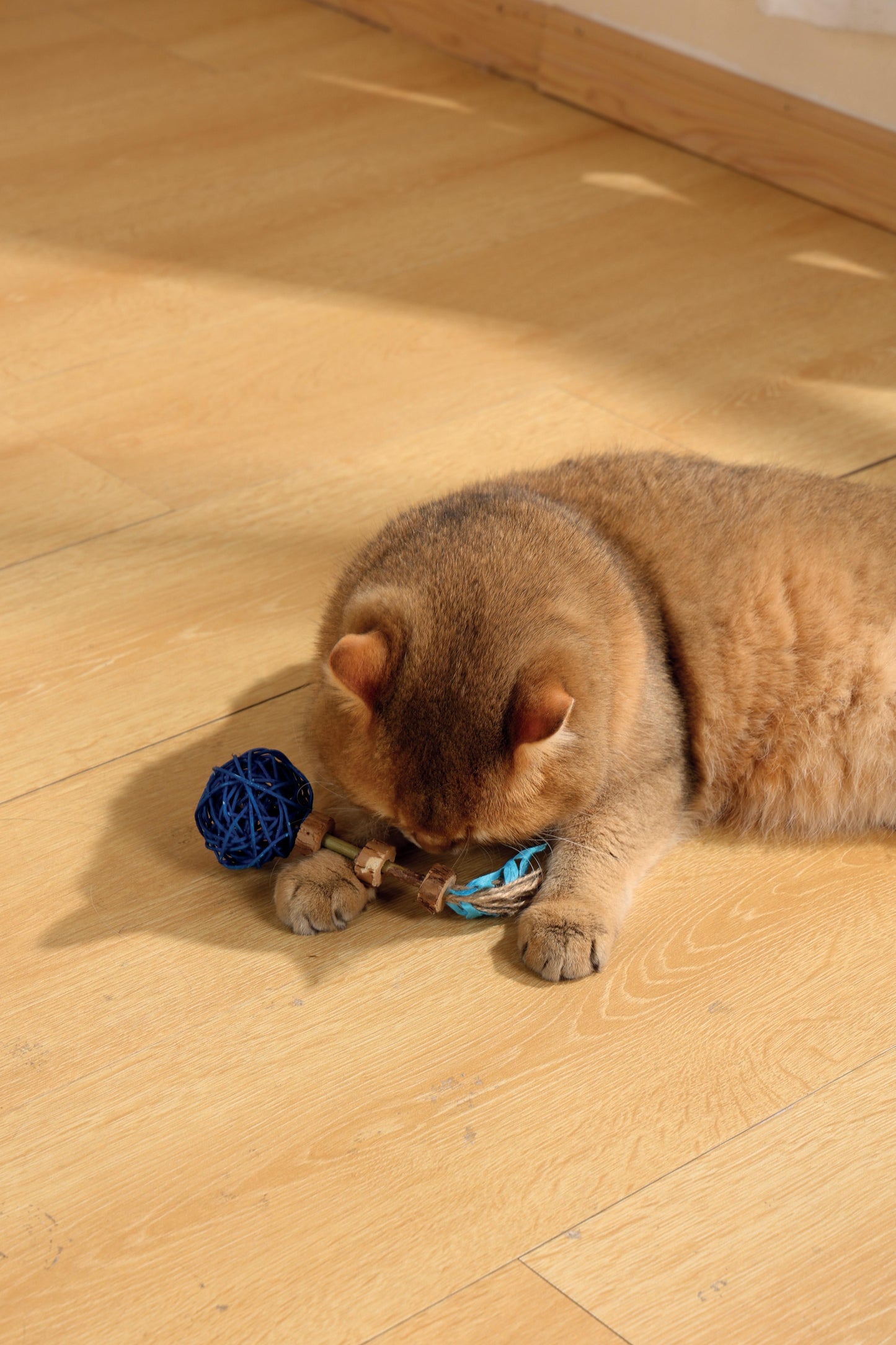 M-PETS - Amulette Charmy à l'herbe à chat