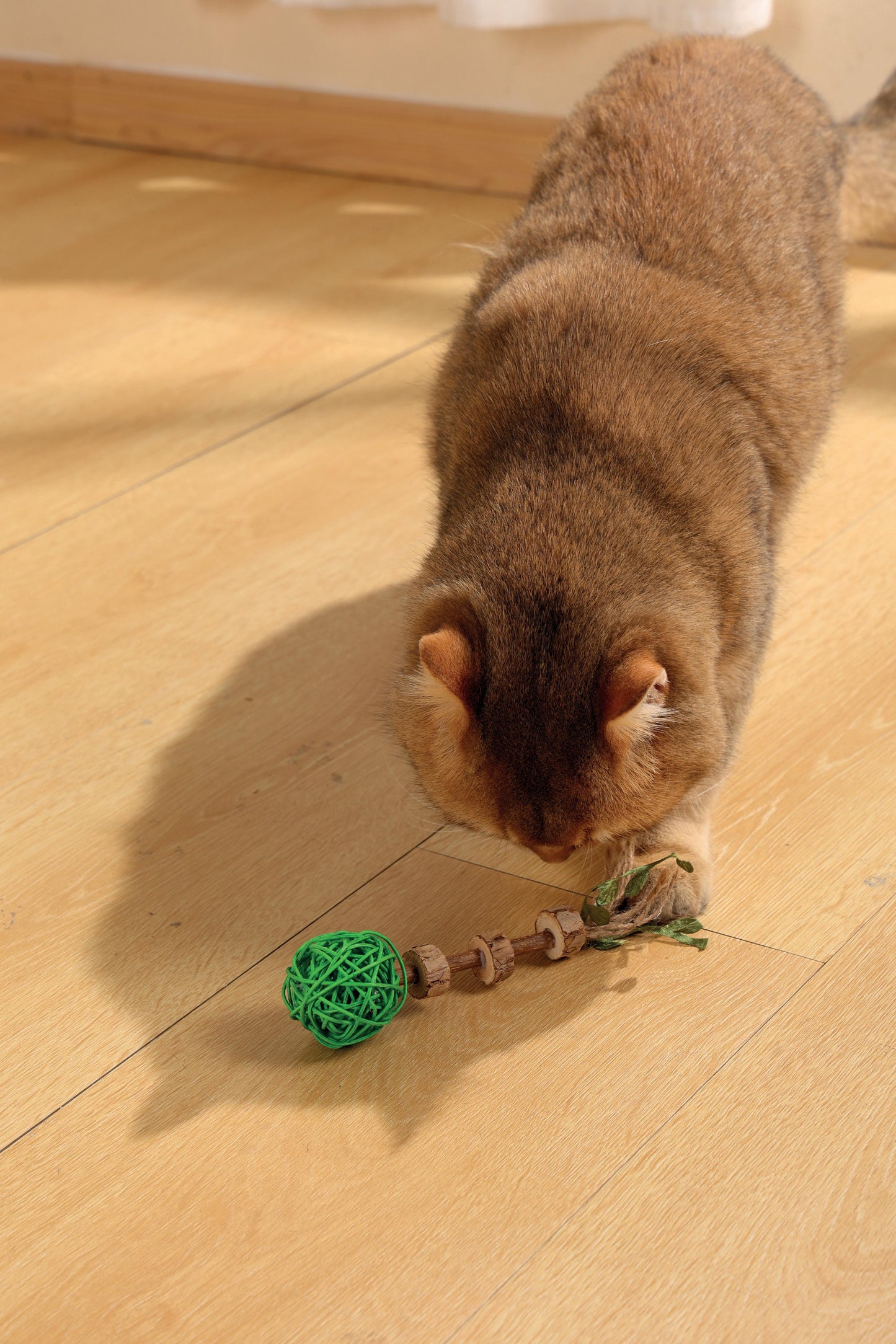 M-PETS - Charmy Amulet de Catnip