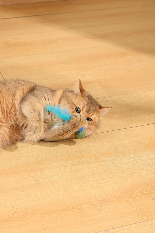 M-PETS - Charmy Firefly par Catnip