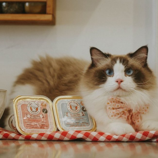 Cooka's Cookies - Paté Purrfect Pollo con Catnip 100g