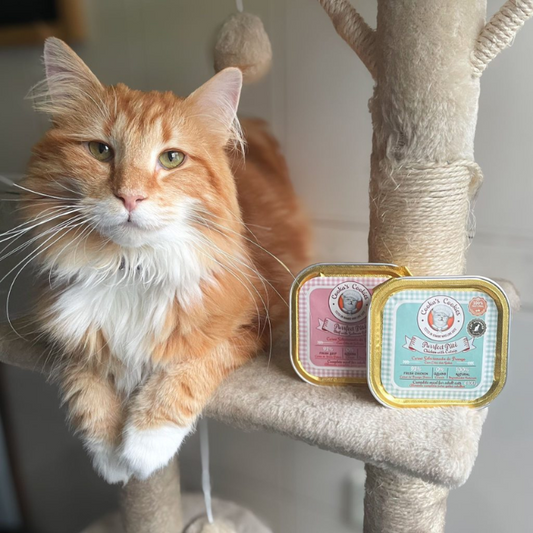Cooka's Cookies - Paté Purrfect Pollo con Catnip 100g