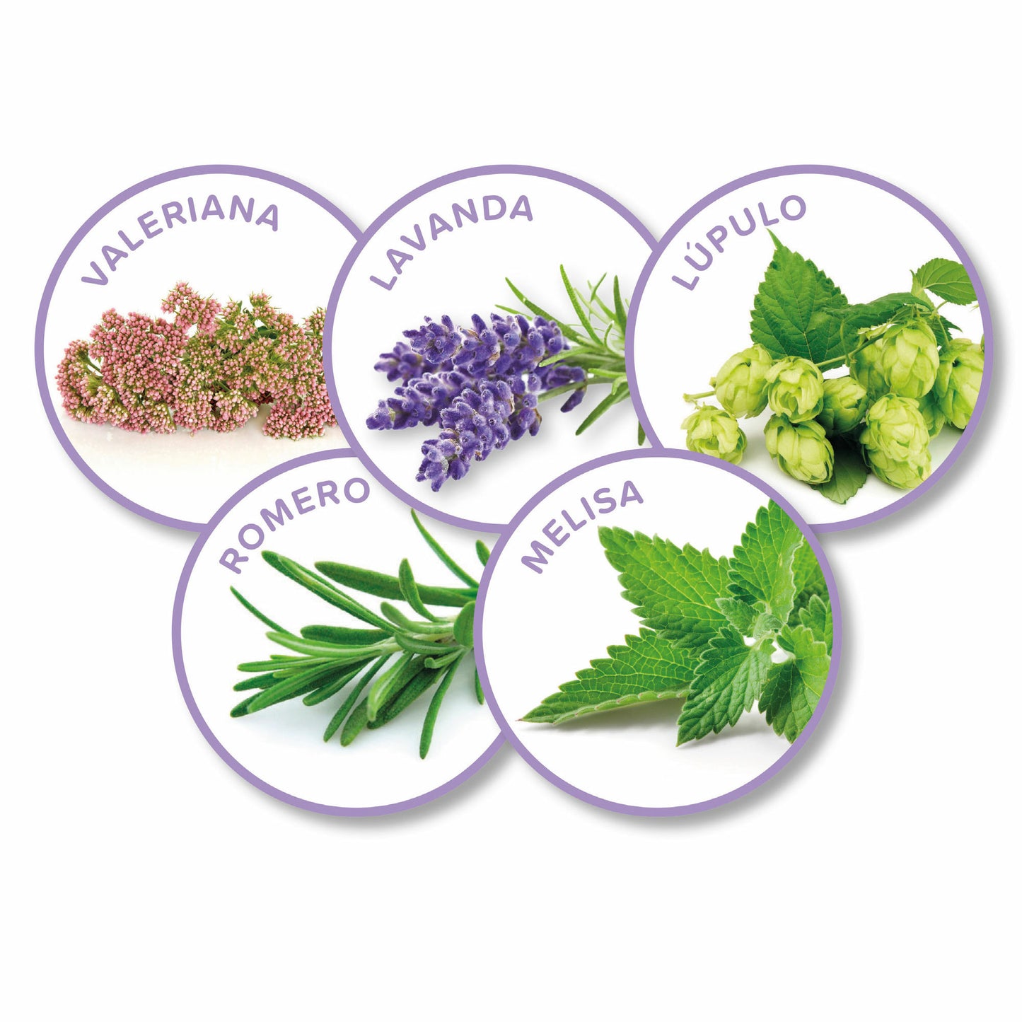 Beaphar - Calming Spot On Pipetas Calmantes para Gato (3 Pipetas)