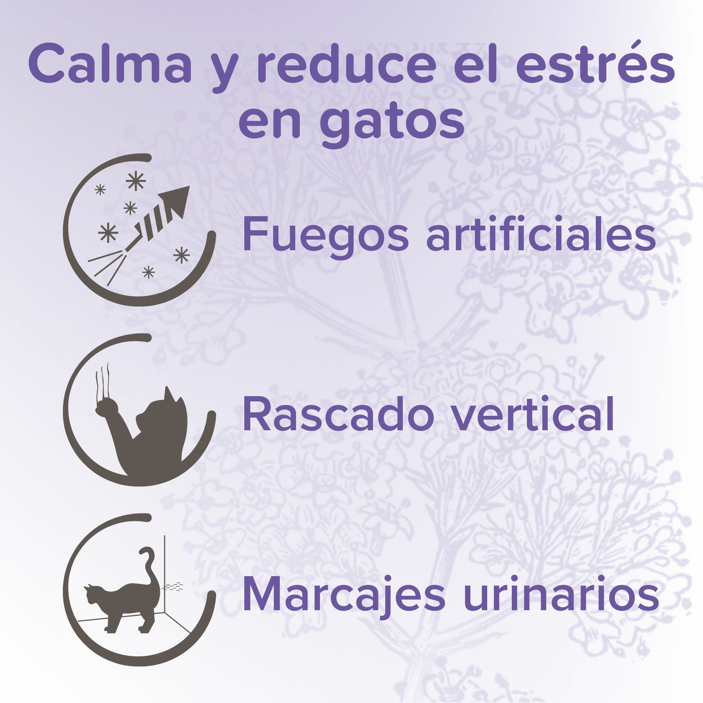 Beaphar - Calming Spot On Pipetas Calmantes para Gato (3 Pipetas)
