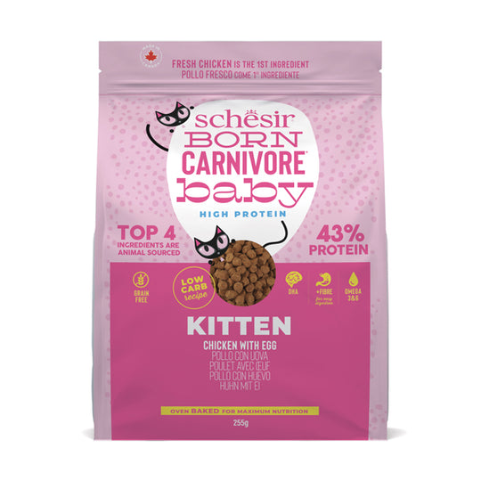 Poulet carnivore Schesir Born avec œuf pour chatons