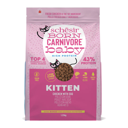 Poulet carnivore Schesir Born avec œuf pour chatons