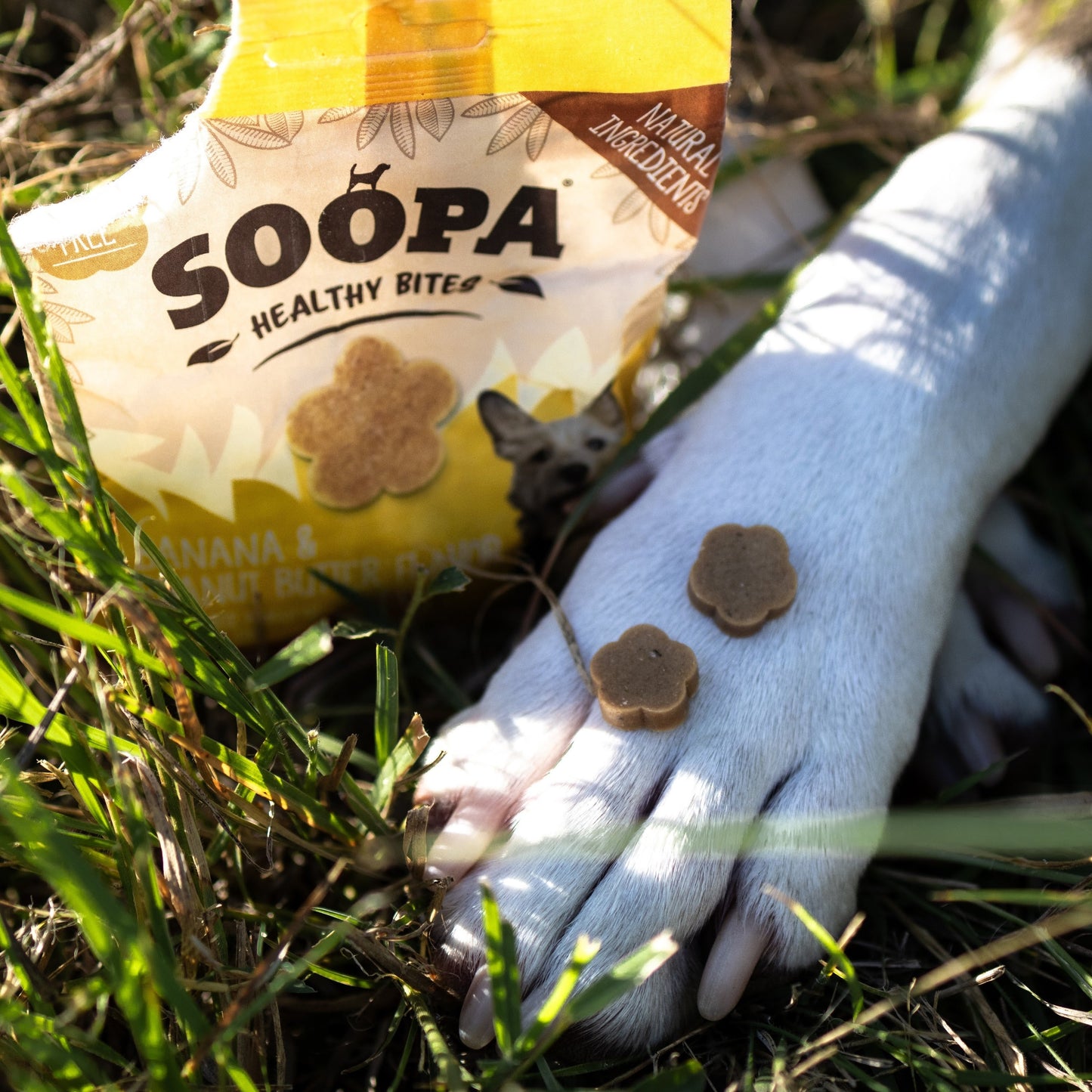 Soopa - Healthy Bites de Mantequilla de Cacahuete y Plátano (Bocados) 50g