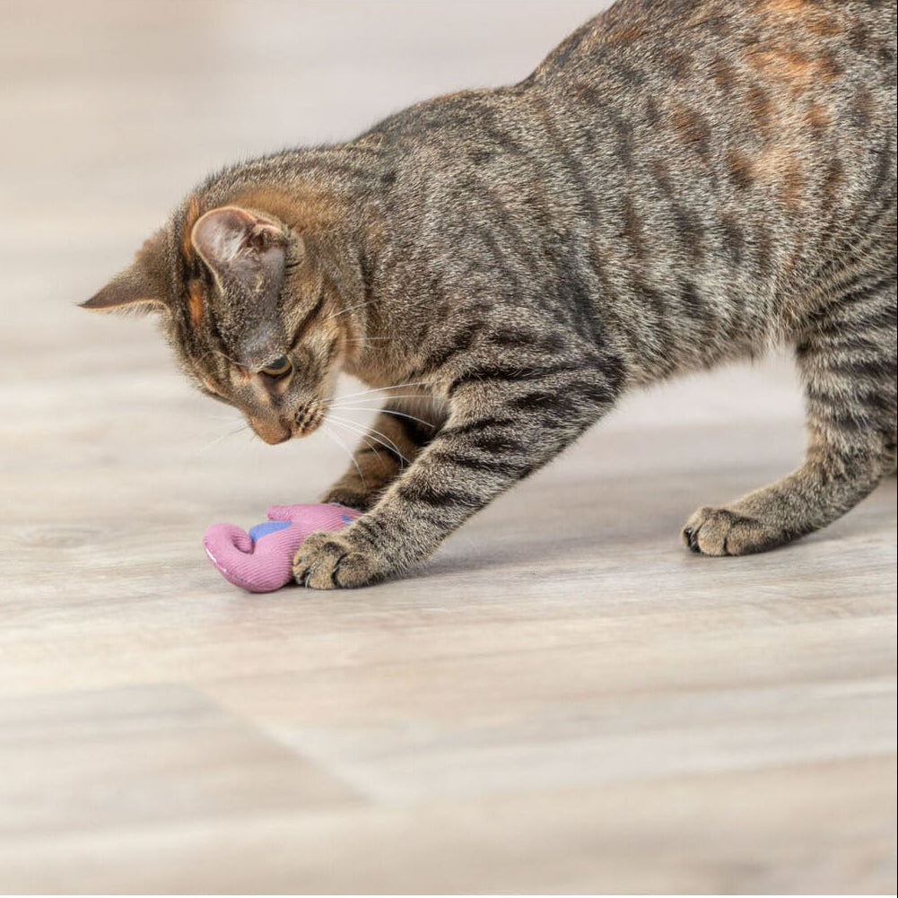 Trixie - Peluche Hippocampe avec herbe à chat