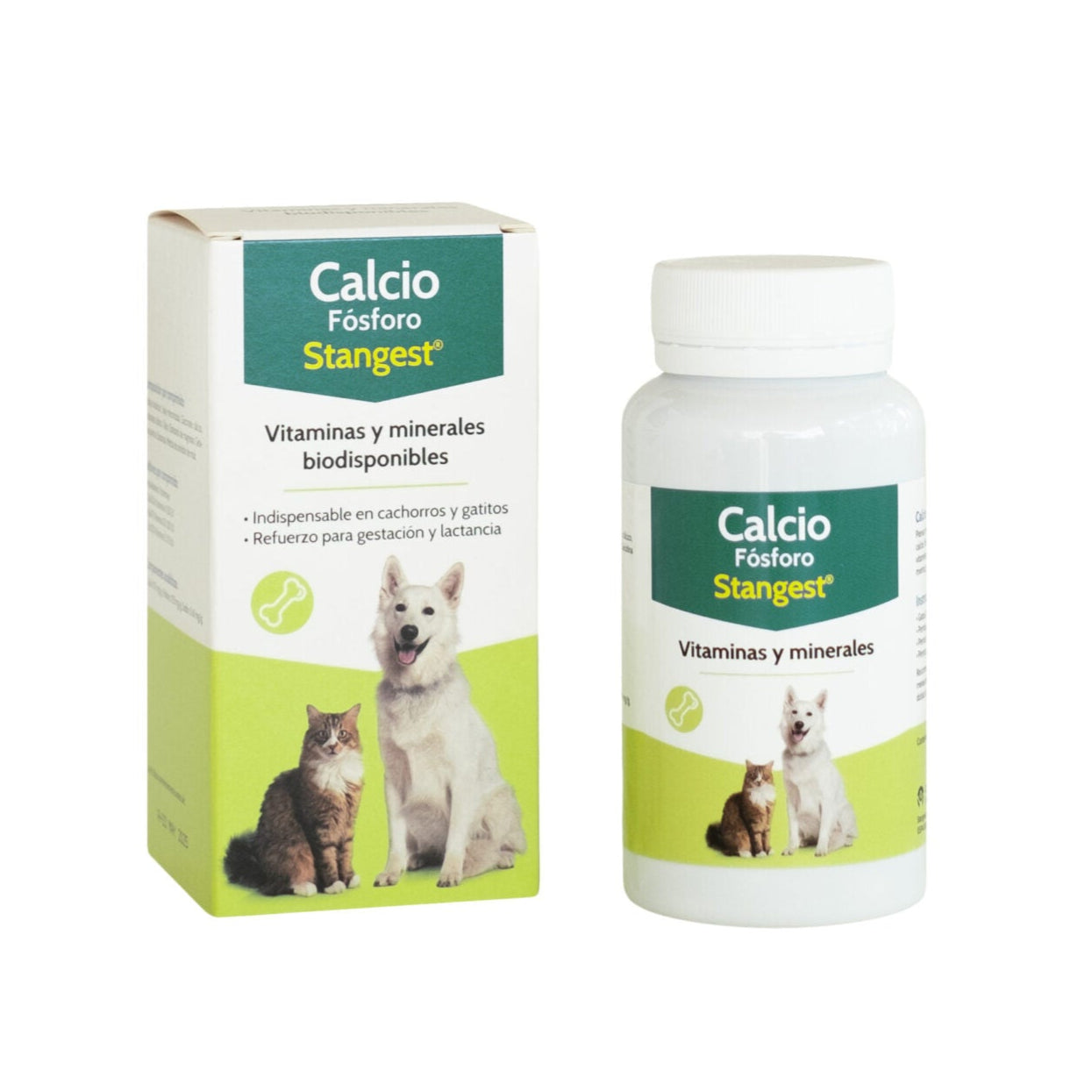 Stangest - Calcium Phosphore