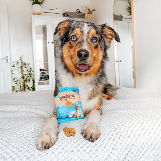 Soopa - Healthy Bites de Coco y Semillas de Chía 50g