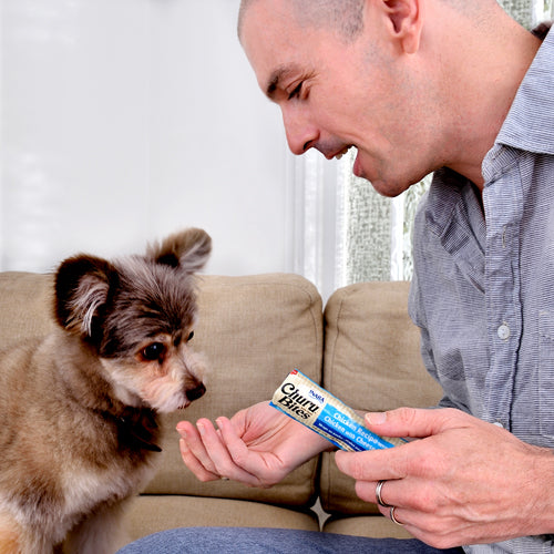 Inaba - Churu Bites Poulet au fromage 8x12 gr