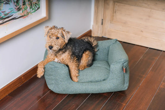 Fantail - Snooze Origin Basket