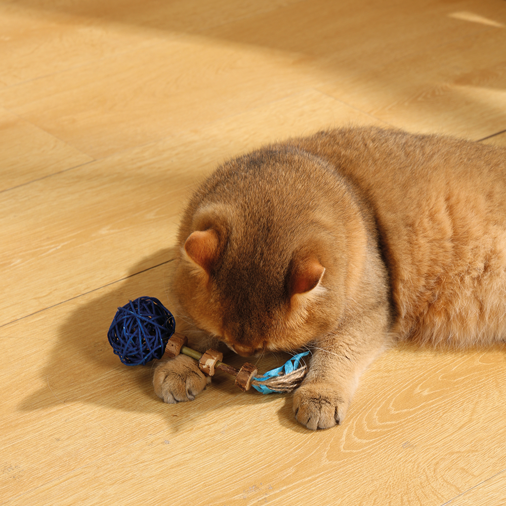 M-PETS - Charmy Amulet Matatabi Jouet pour chat à l'herbe à chat