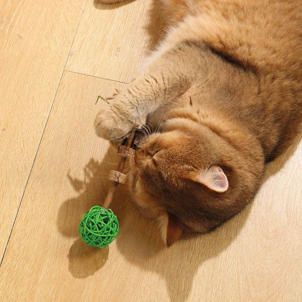 M-PETS - Charmy Amulet Matatabi Jouet pour chat à l'herbe à chat