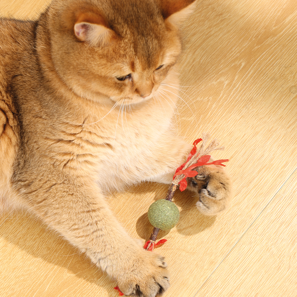 M-PETS - Charmy Branch Catnip Cat Toy