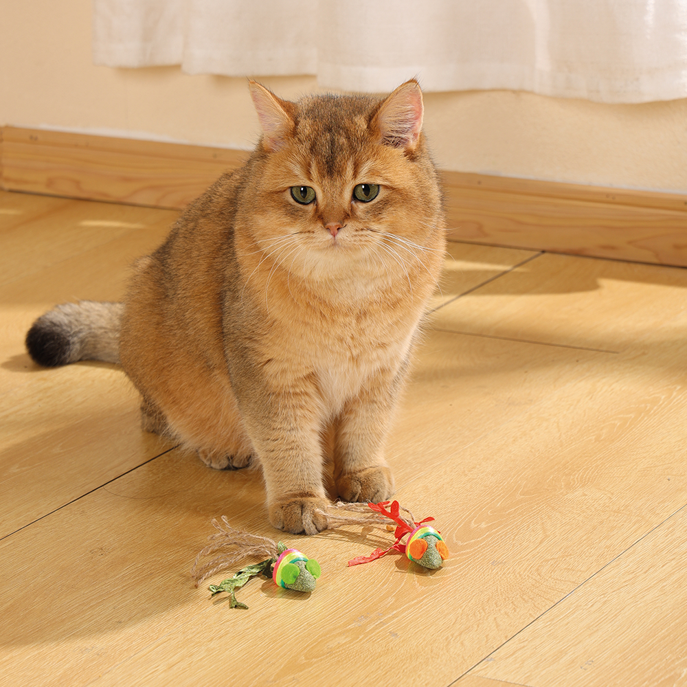 M-PETS - Charmy Mice Catnip Cat Toy