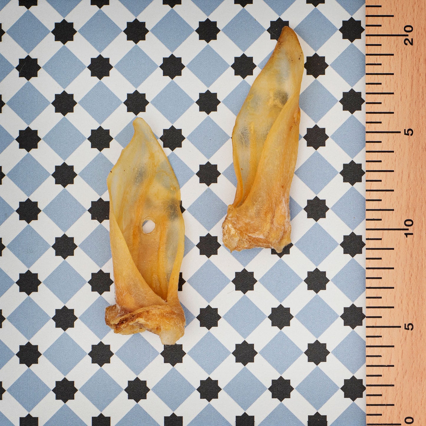 Oreja de Cordero