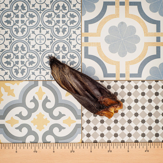 Oreille de vache avec poils