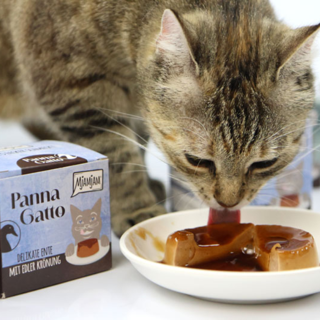 MjAMjAM - Panna Gatto de Canard (2x80g)