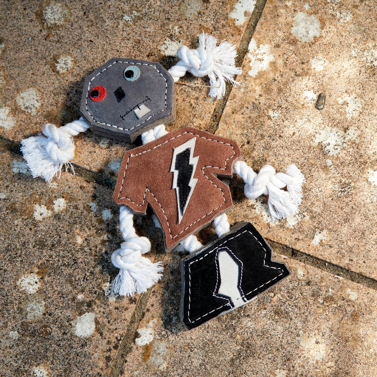 Voler le robot