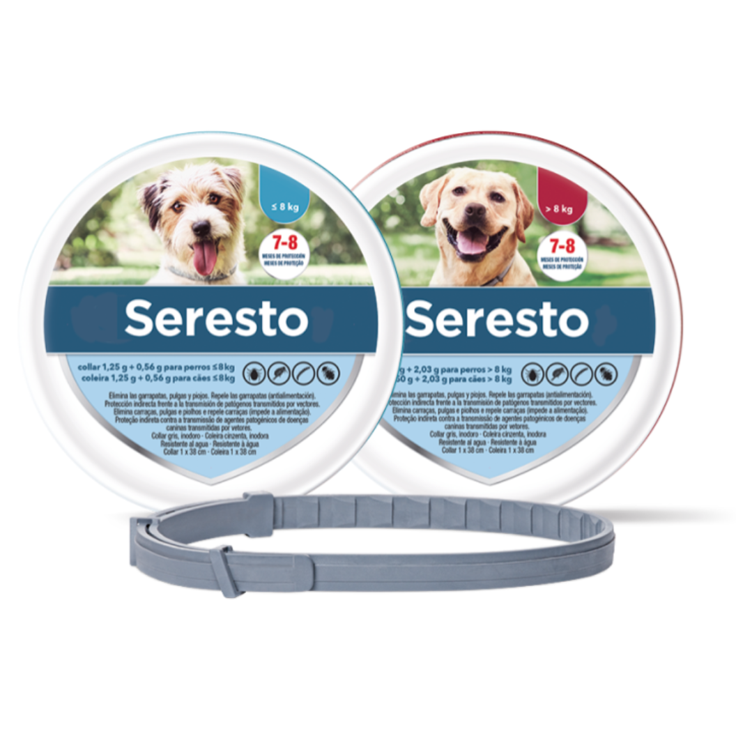 Seresto Collier antiparasitaire pour chien
