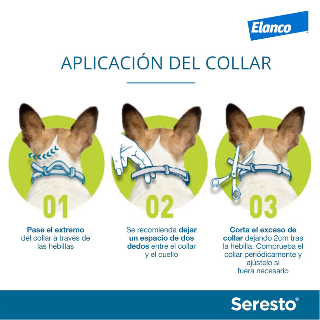 Seresto Collier antiparasitaire pour chien