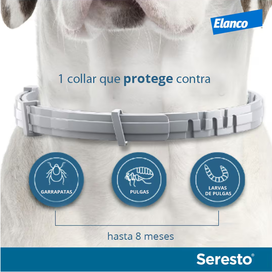 Seresto Collier antiparasitaire pour chien