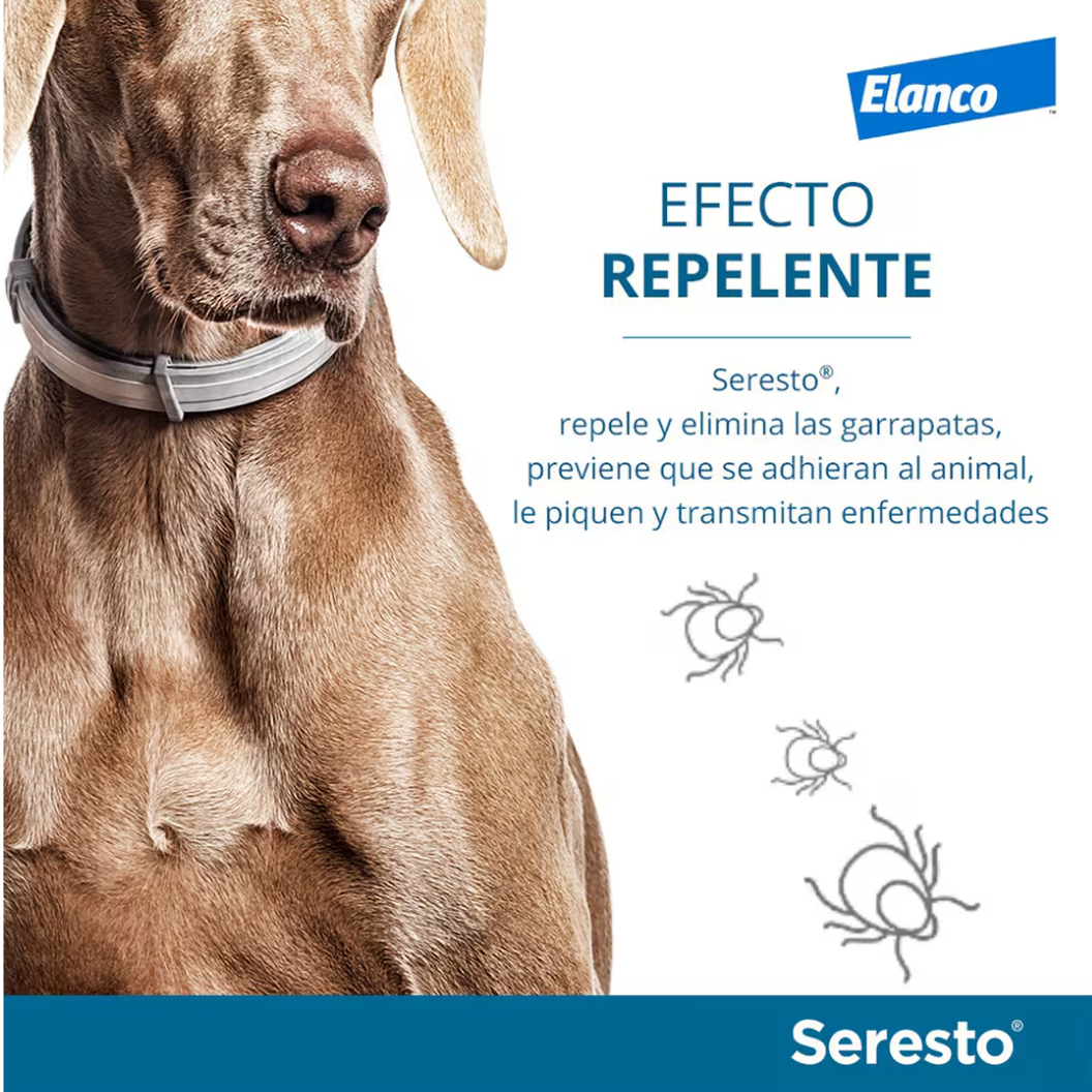 Seresto Collier antiparasitaire pour chien