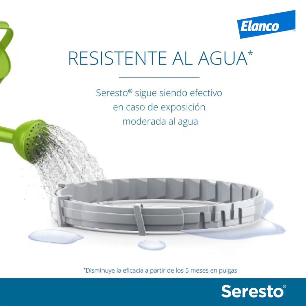 Seresto Collier antiparasitaire pour chien