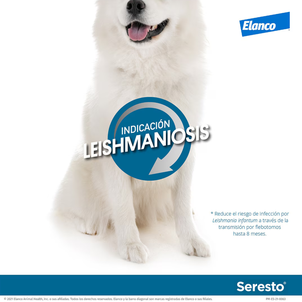 Seresto Collier antiparasitaire pour chien
