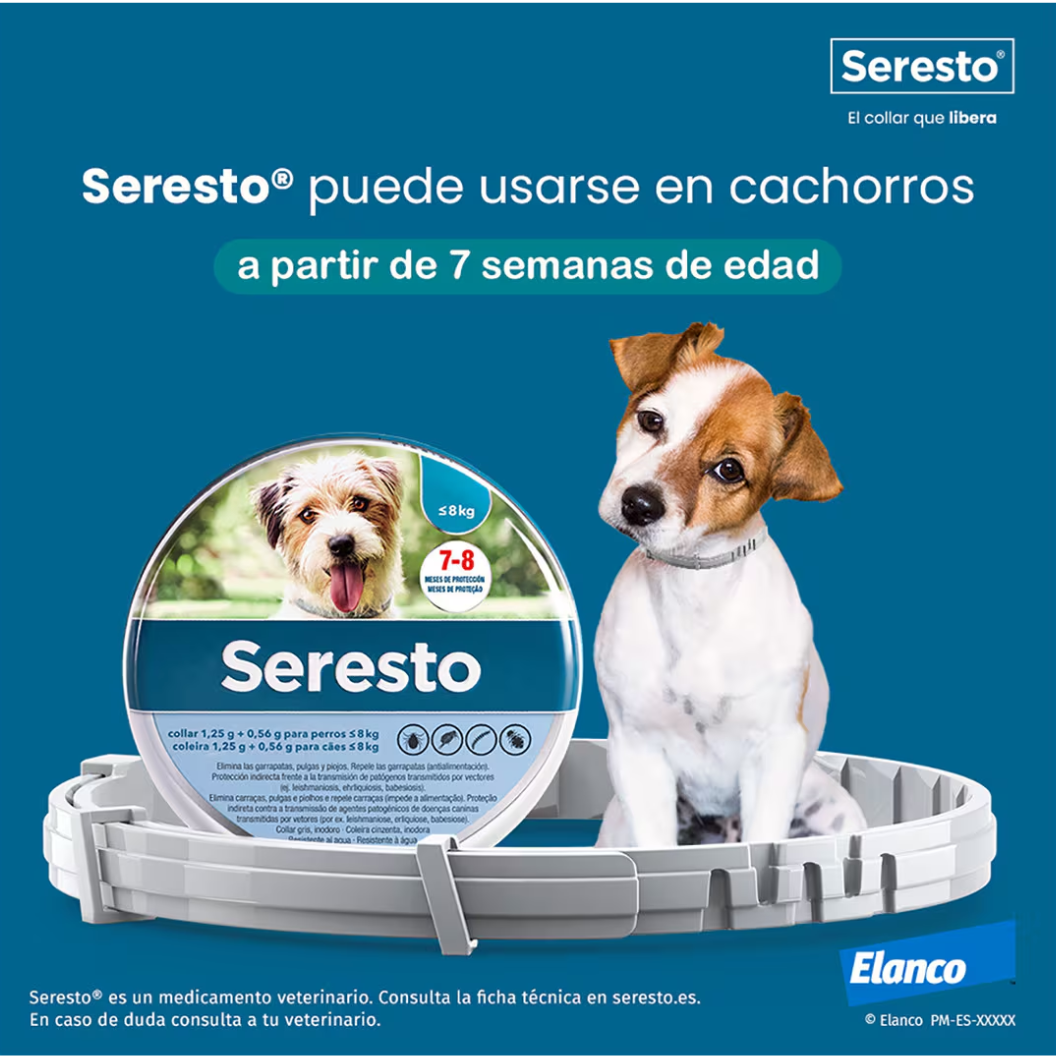 Seresto Collier antiparasitaire pour chien