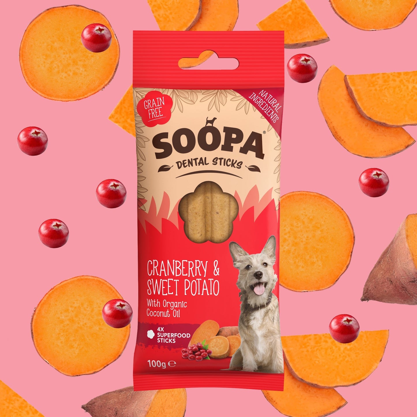 Soopa - Palitos dentales de Arándanos y Boniato