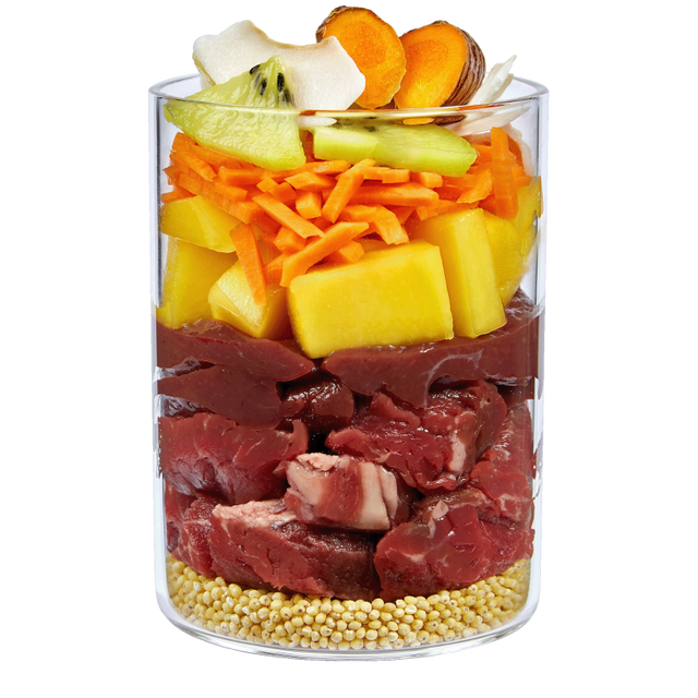 Terra Canis Love the Planet – Bœuf gardien du soleil à la noix de coco 400 g