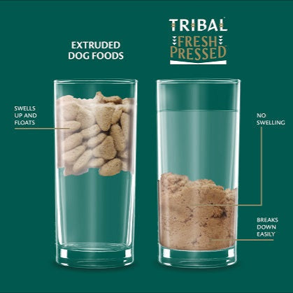 Tribal (Prensado en Frío) - Cachorro Pavo