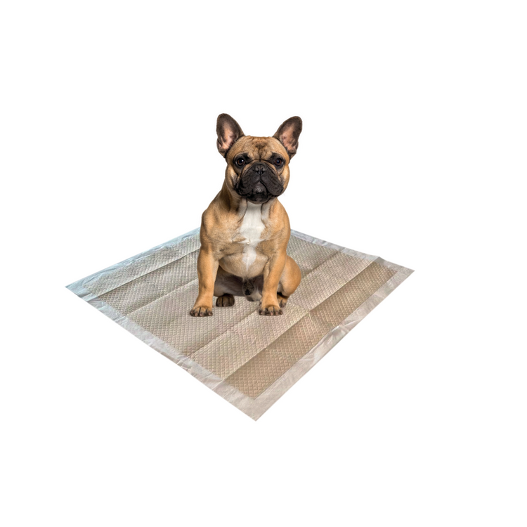 M-PETS - Empapador ECO 60 x 60 cm - 50 uds