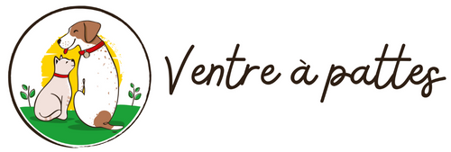 VENTRE A PATTES