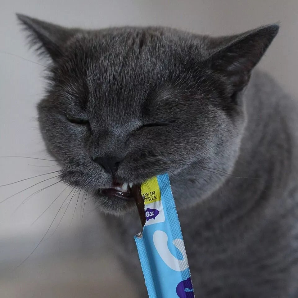 WOW Cat - Soft Sticks con Salmón