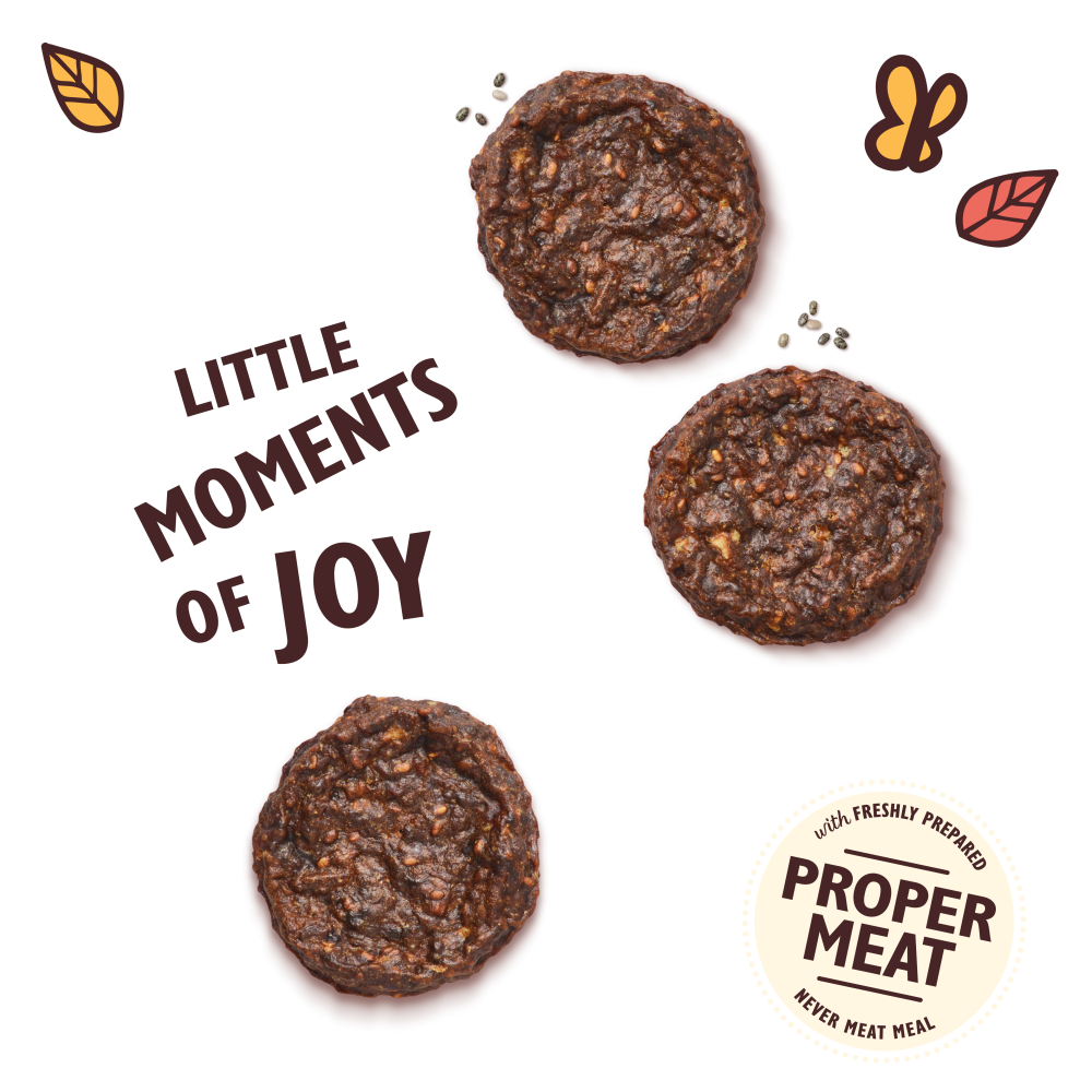 Lily's Kitchen - Mini burgers de bœuf pour chiens