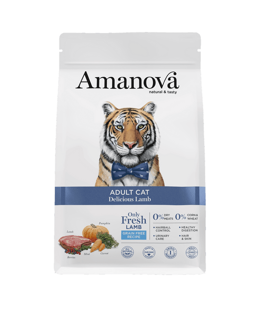 Amanova - Chat Agneau Adulte