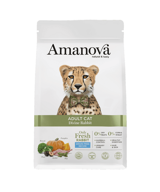 Amanova - Chat Lapin Adulte
