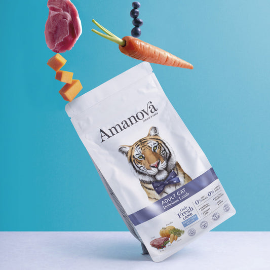 Amanova - Chat Agneau Adulte