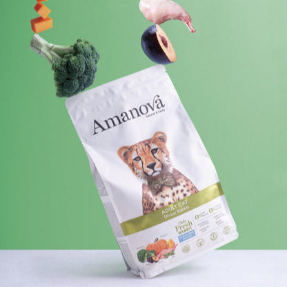 Amanova - Chat Lapin Adulte